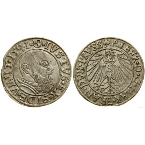 Prusy Książęce (1525-1657), grosz, 1541, Królewiec