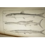 P. Jarocki 1822 Zoology Or General Animal Journal - Fish.