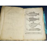P. Jarocki 1822 Zoologia Czyli Zwierzętopismo General - Fish