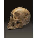 Large marble skull - 18th century