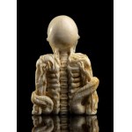 Memento Mori, German marine ivory skeleton bust - 19th century