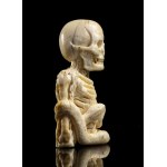 Memento Mori, German marine ivory skeleton bust - 19th century