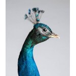 Peacock on pedestal