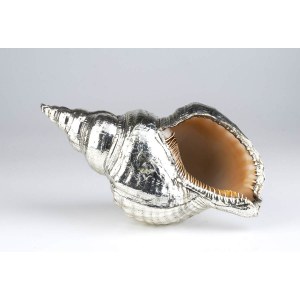 Natural silver coated shell - mark of MARIO BUCCELLATI