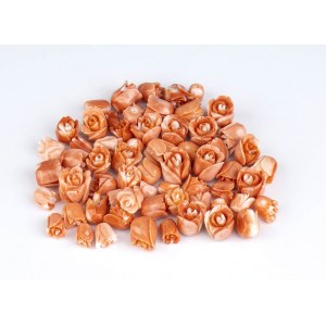 62 small tulips carved in cerasuolo coral