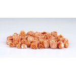 62 small tulips carved in cerasuolo coral