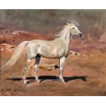 Wojciech Kossak (1856-1942), Studie koně z přírody, 1927