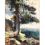 Stanislaw Galek (1876 - 1961), Pine tree on the seashore, 1924