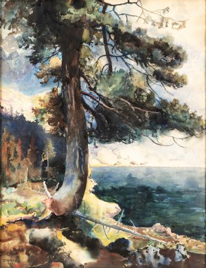 Stanisław Gałek (1876 - 1961), Sosna nad brzegiem morza, 1924