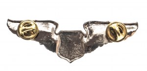 USA, navigator pilot badge.