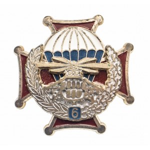 Odznaka 6 batalion Desantowo-Szturmowy.