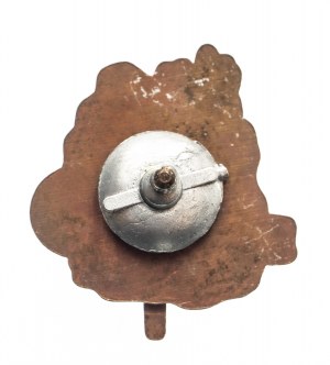 Rock Climbing Badge for Paratroopers.