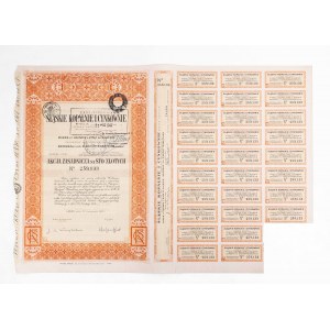 Poľsko, Druhá republika, Sliezske bane a zinkovne, Základná akcia 100 zlotých, Lipiny 1937
