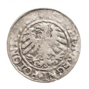 Polska, Zygmunt I Stary, grosz 152?, Kraków