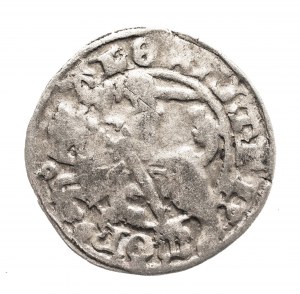 Poľsko, Alexander Jagelonský, litovský polpenny bez dátumu, Vilnius