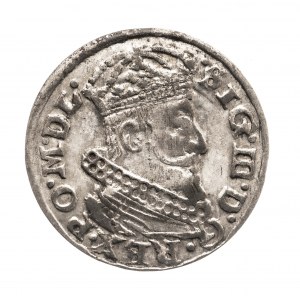 Polska, Zygmunt III Waza, grosz litewski 1626, Wilno