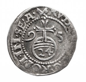 Germany, Schauenburg-Holstein-Pinneberg, Adolf XI, penny 1595