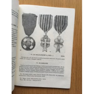 Stanisław Gibasiewicz, ODZNACZENIA, ODZNAKI I MEDALE ZWIĄZANE Z POWSTANIEM WIELKOPOLSKIM.