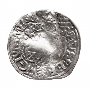 Germany, County of Ravensberg, Wilhelm V, penny 1556