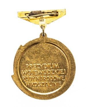 Poland, Badge of Merit Koszalin Province