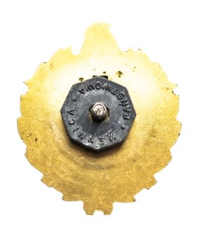 Poland, TSO firefighter badge for seniority 5