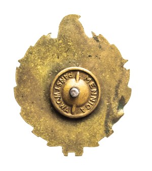 Poland, TSO firefighter's badge for service of 20 years