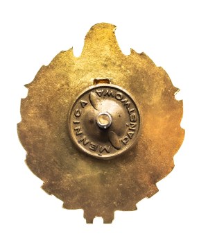 Poland, TSO firefighter badge for seniority 35