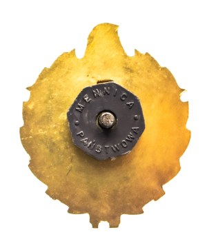Poland, TSO firefighter badge for seniority 35