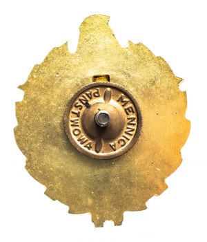 Poland, TSO firefighter badge for seniority 45