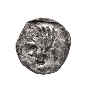 Pomorze Zachodnie, Słupsk- miasto, denar XIV - XV w.