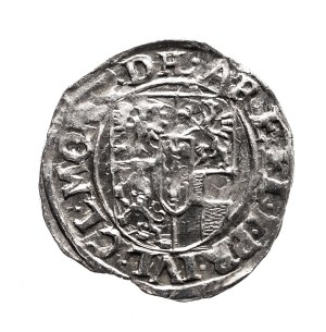Ducal Prussia, John Sigismund, Prussian penny 1614, Drezdenko