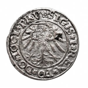 Polska, Zygmunt I Stary, grosz 1535, Elbląg, ELBINGK rzadkość