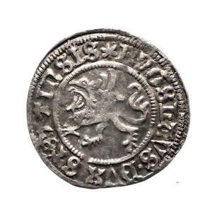Pomorze, Bogusław X, Szeląg 1503, Szczecin.