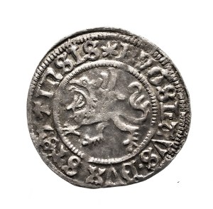 Pomerania, Boguslaw X, Shelag 1503, Szczecin.