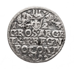 Poland, Sigismund III Vasa, trojak 1623, Krakow