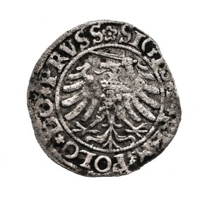 Poland, Sigismund I the Old, sheląg 1532, Elbląg