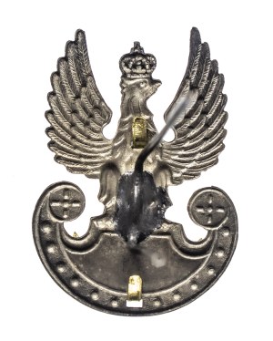 Poland, Republic since 1989, Navy Eagle