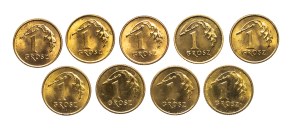 Poland, Republic of Poland since 1989, set of 1 penny 1990-2000, 9 pieces
