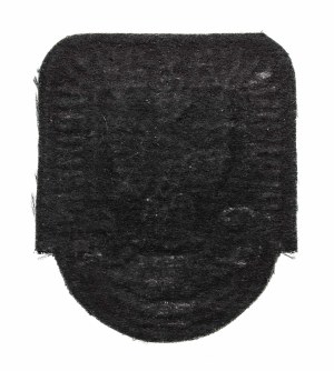 Poland, Republic of Poland since 1989, Air Force Eagle patch