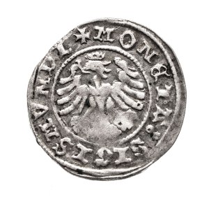 Poland, Sigismund I the Old, half-penny 1507, Cracow
