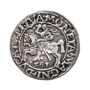 Polska, Zygmunt II August, półgrosz 1561, Wilno