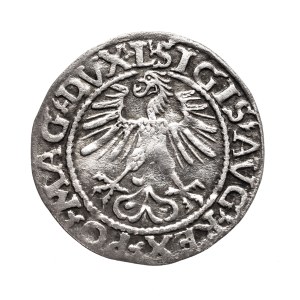 Polska, Zygmunt II August, półgrosz 1561, Wilno