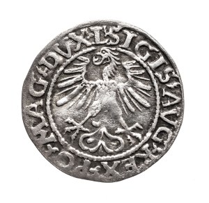 Poland, Sigismund II Augustus, half-penny 1561, Vilnius