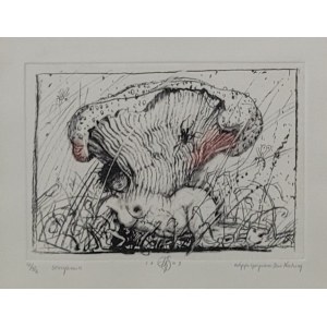 Franciszek Starowieyski, Mycelium, special edition - Gift of Nature