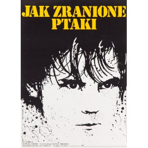 Jakub EROL (1941-2018), Jak zranione ptaki, 1971