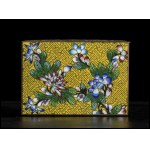 A CLOISONNÉ ENAMELED METAL BOX AND COVER China, 20th century
