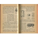 Technical and Forestry Guide [Lviv 1934] [forestry, fishing, horticulture, beekeeping, lumbering and others].