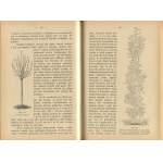 BRZEZIŃSKI Józef - Hodowla drzew i krzewów owocowych [1938]