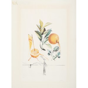 Salvador DALI (1904-1989), Smyslný grapefruit (Pamplemousse Érotique) z cyklu Flordali - Les Fruits (1969)