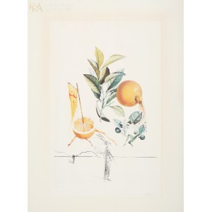 Salvador DALI (1904-1989), Zmysłowy grejpfrut (Pamplemousse Érotique) z cyklu Flordali - Les Fruits (1969)